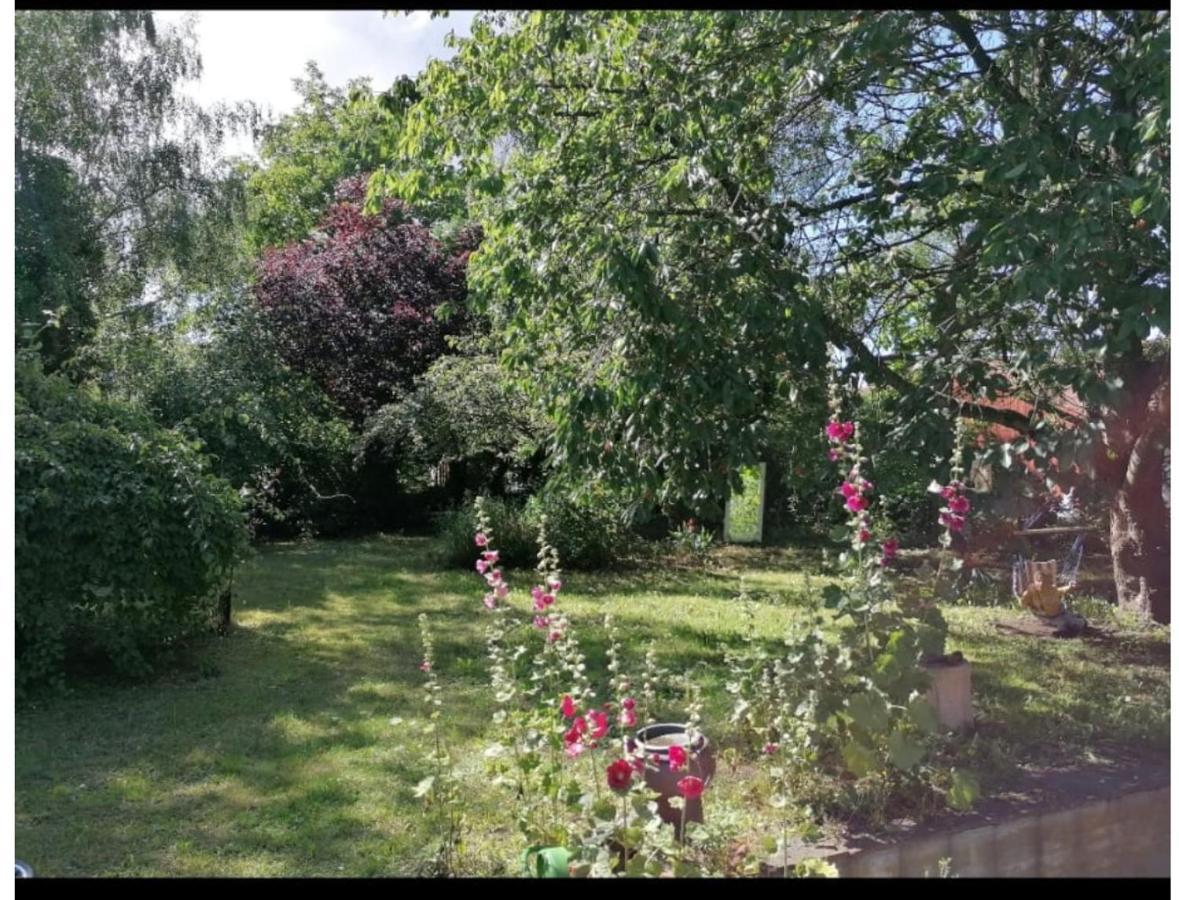 Geraeumiges 120M² Haus Mit Garten + Stellplatz Stralsund Extérieur photo